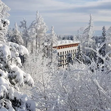 Hotell Crocus