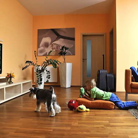 Crocus Štrbské Pleso