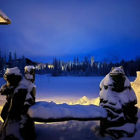 Crocus Štrbské Pleso