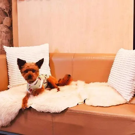 Hotel Crocus 4*
