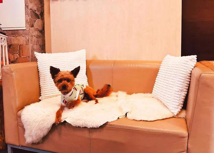 Crocus Štrbské Pleso